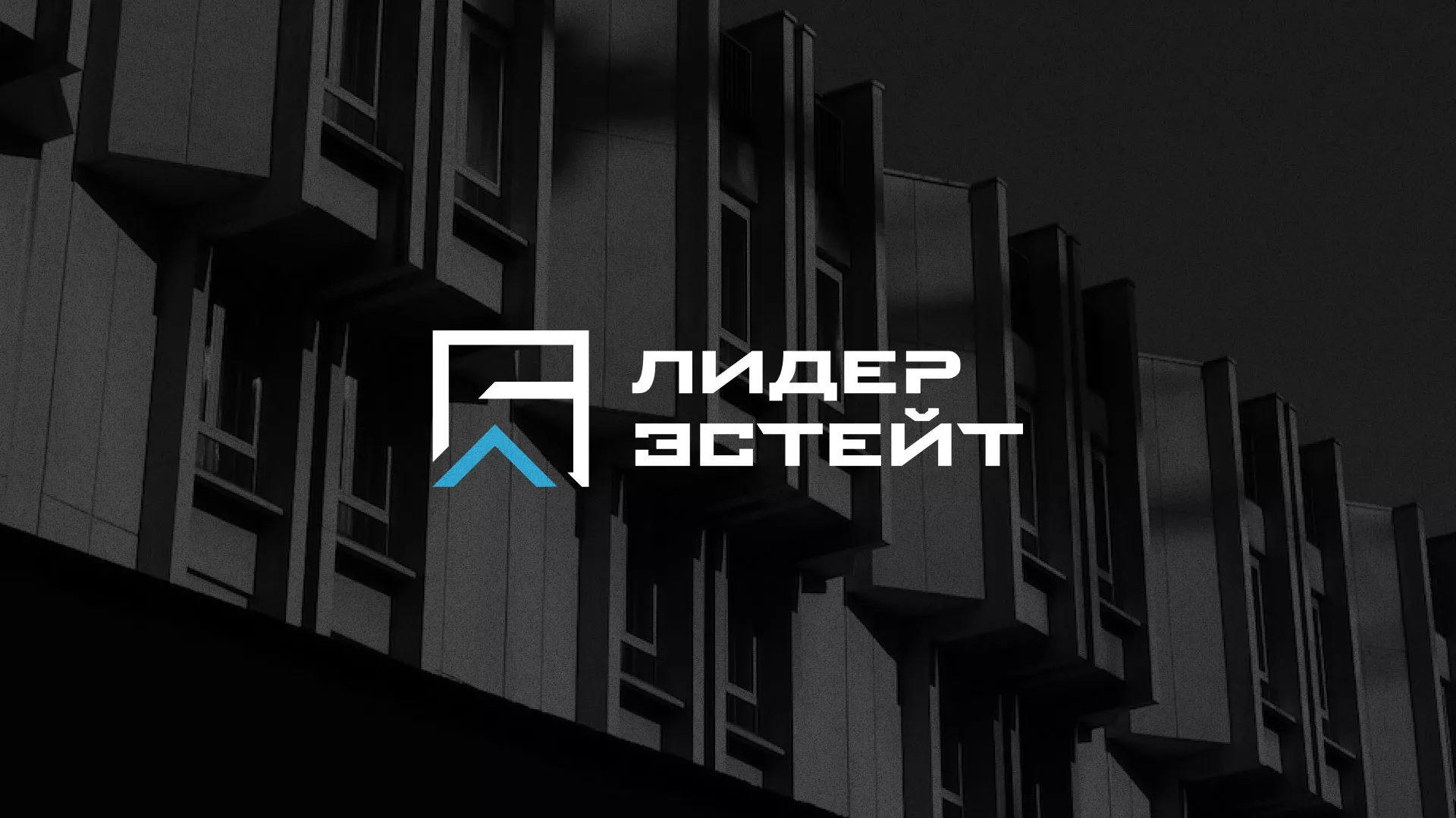 Разработка логотипа агентства недвижимости «Лидер Эстейт» в Арамиле